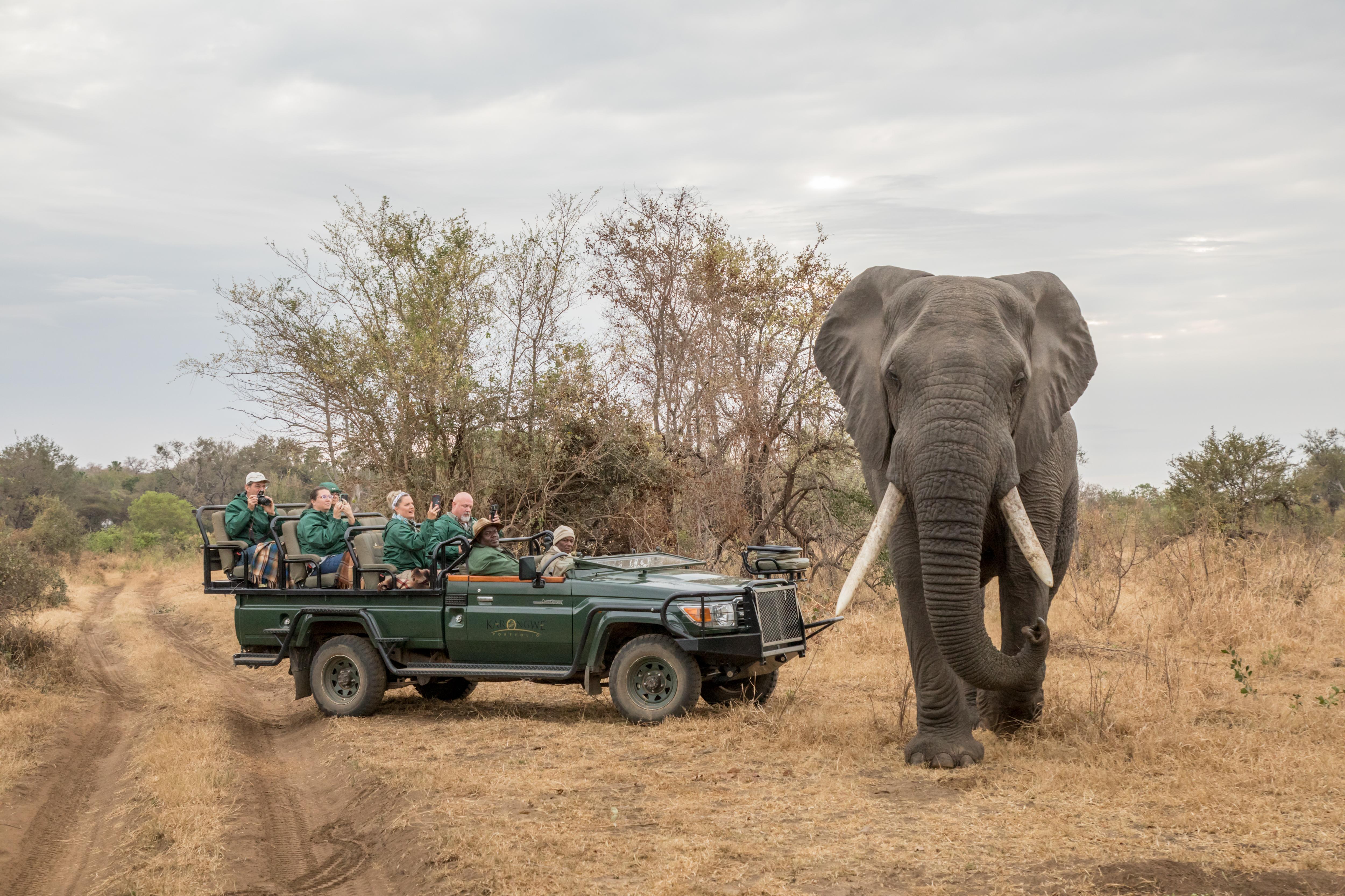 希杜丽私人狩猎山林小屋 Karongwe Game Reserve 外观 照片