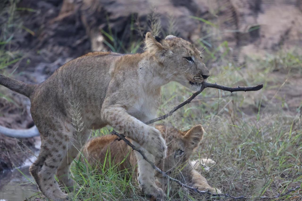 希杜丽私人狩猎山林小屋 Karongwe Game Reserve 外观 照片
