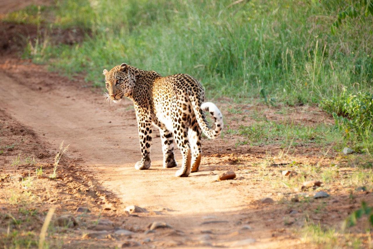希杜丽私人狩猎山林小屋 Karongwe Game Reserve 外观 照片
