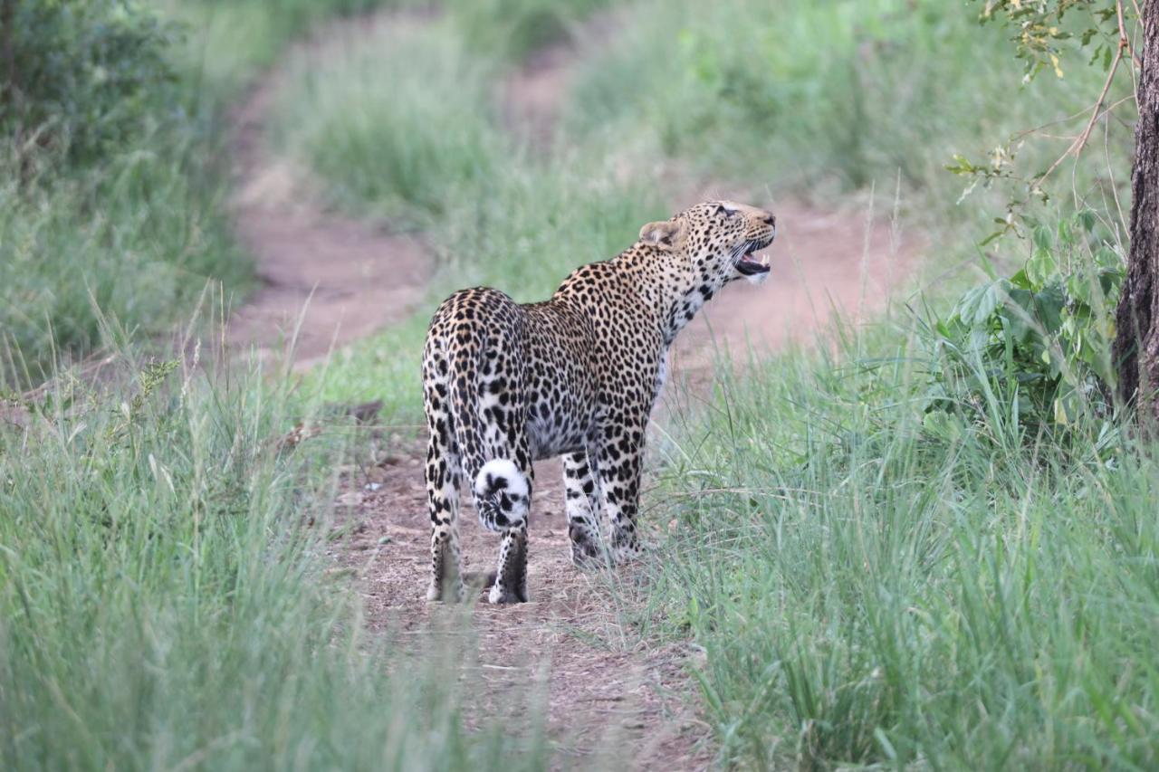 希杜丽私人狩猎山林小屋 Karongwe Game Reserve 外观 照片