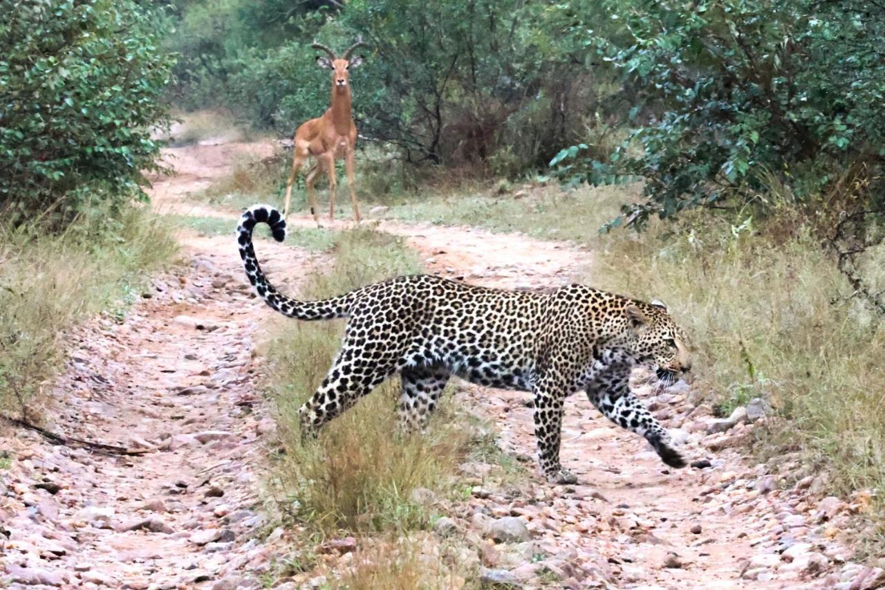 希杜丽私人狩猎山林小屋 Karongwe Game Reserve 外观 照片