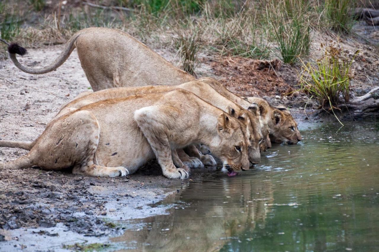 希杜丽私人狩猎山林小屋 Karongwe Game Reserve 外观 照片