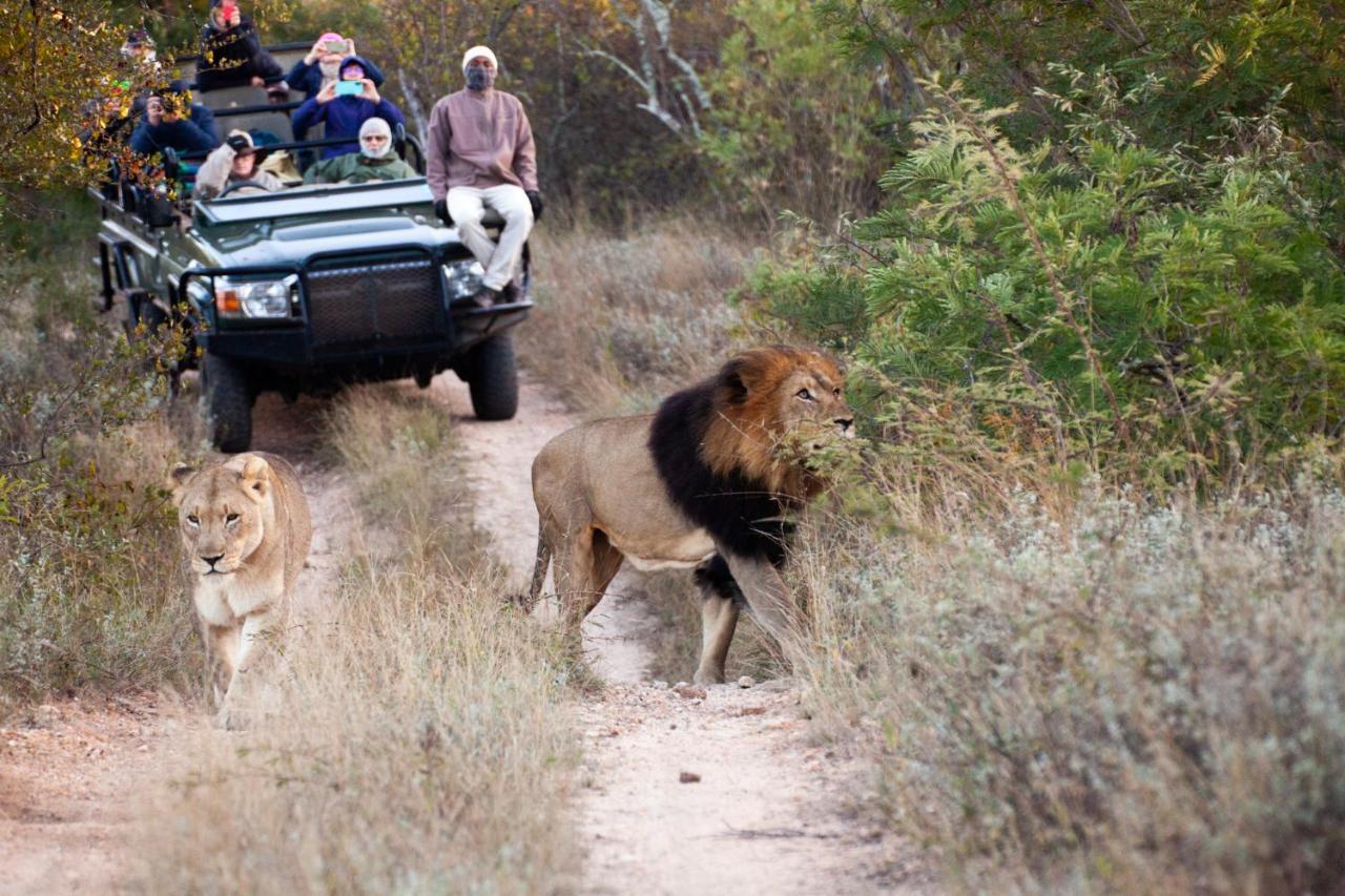 希杜丽私人狩猎山林小屋 Karongwe Game Reserve 外观 照片
