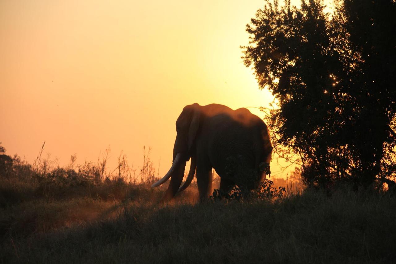 希杜丽私人狩猎山林小屋 Karongwe Game Reserve 外观 照片