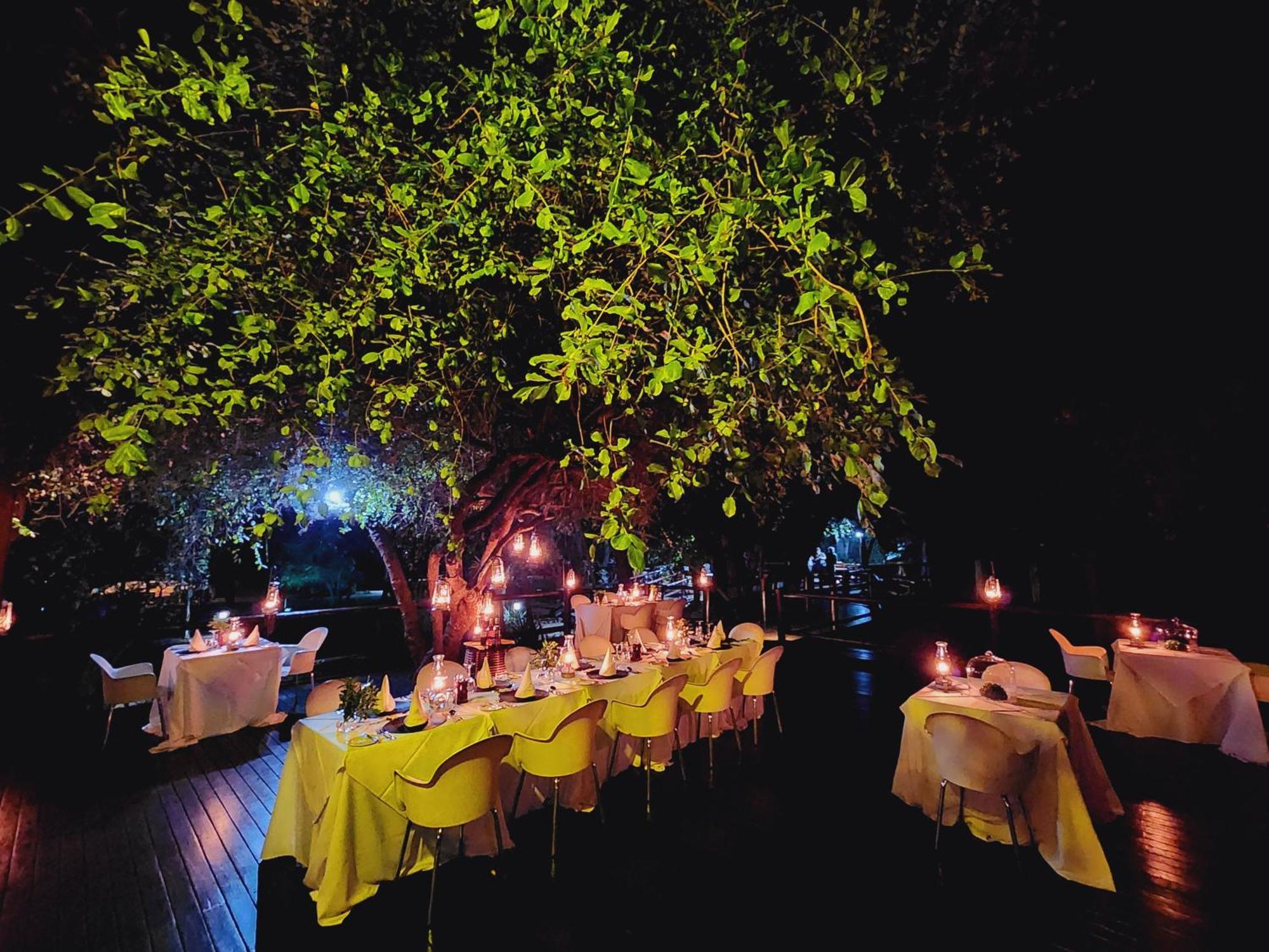 希杜丽私人狩猎山林小屋 Karongwe Game Reserve 外观 照片