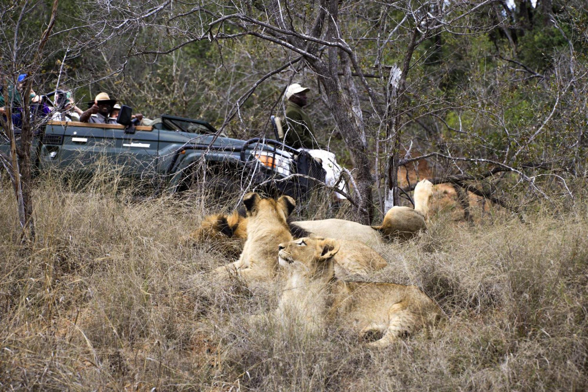 希杜丽私人狩猎山林小屋 Karongwe Game Reserve 外观 照片