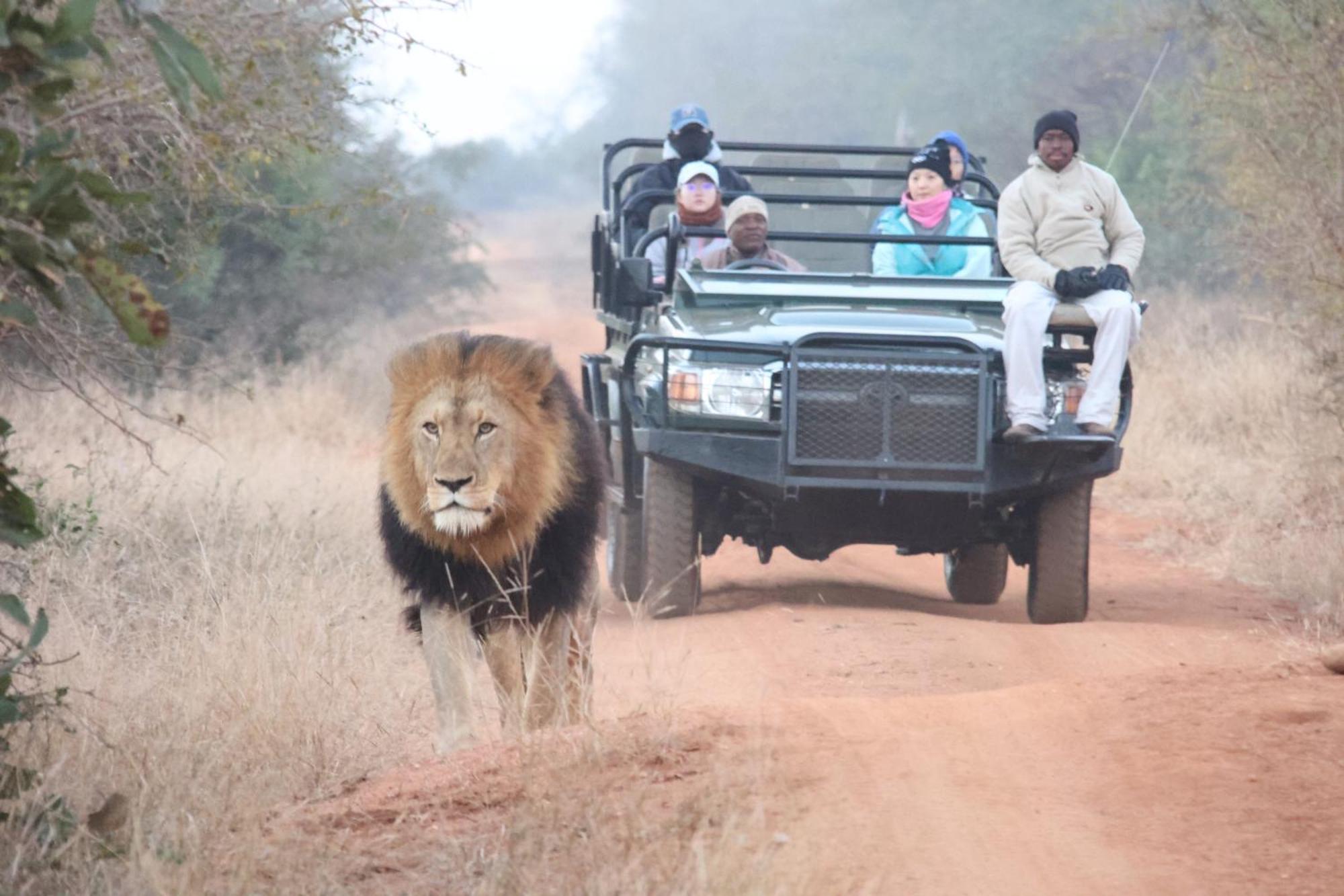 希杜丽私人狩猎山林小屋 Karongwe Game Reserve 外观 照片